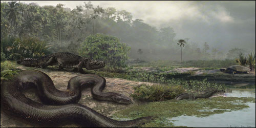 Scientists find world's biggest snake in Colombia